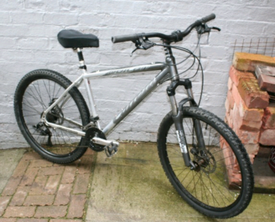 apollo independence junior mountain bike